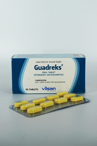 GUARDEKS